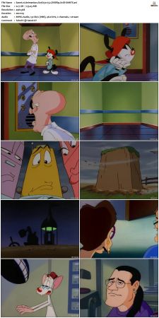 Animaniacs 1993 S01 DVDRip XviD-SAiNTS