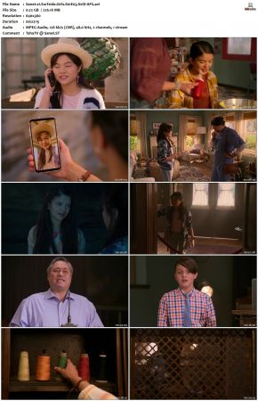 Surfside Girls S01 XviD-AFG