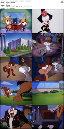 Animaniacs 1993 S05 DVDRip XviD-DEiMOS