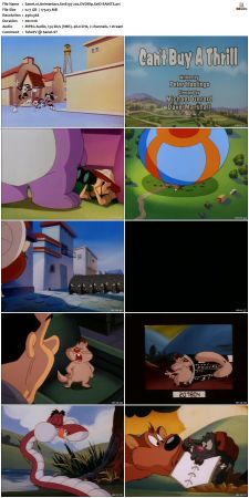 Animaniacs 1993 S01 DVDRip XviD-SAiNTS