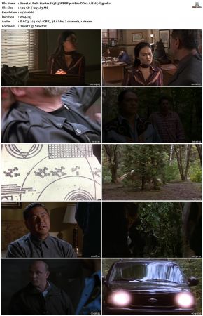 Relic Hunter S03 1080p WEBRip DDP2.0 H265-d3g