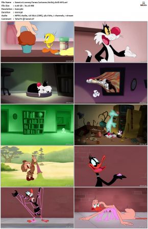 Looney Tunes Cartoons S01 REPACK XviD-AFG