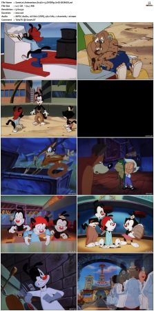 Animaniacs 1993 S04 DVDRip XviD-DEiMOS