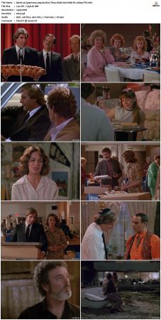 Quantum Leap S02 1080p WEB-DL AAC2.0 H264-TVV