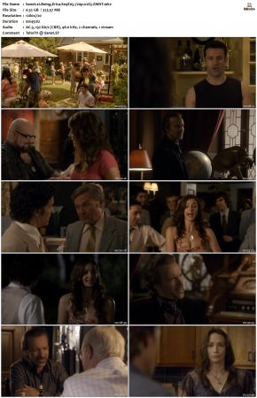 Being Erica S04 720p x265-ZMNT