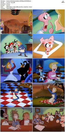 Animaniacs 1993 S03 DVDRip XviD-SAiNTS