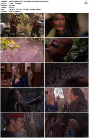 Relic Hunter S03 1080p WEBRip DDP2.0 H265-d3g