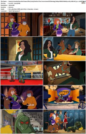 Scooby-Doo And Guess Who S02 1080p WEBRip x265 10bit Goki TAoE