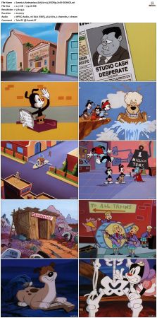 Animaniacs 1993 S05 DVDRip XviD-DEiMOS