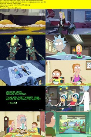 Rick and Morty S06E03 720p WEBRip x264-BAE