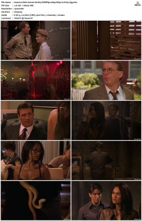 Relic Hunter S01 1080p WEBRip DDP2.0 H265-d3g