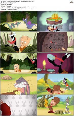 Looney Tunes Cartoons S03 XviD-AFG