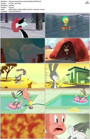 Looney Tunes Cartoons S01 REPACK XviD-AFG