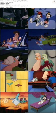 Animaniacs 1993 S01 DVDRip XviD-SAiNTS