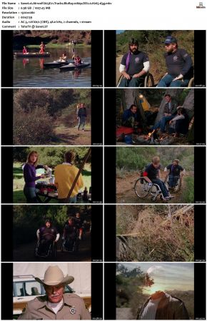 Airwolf S03 1080p BluRay DD2.0 H265-d3g