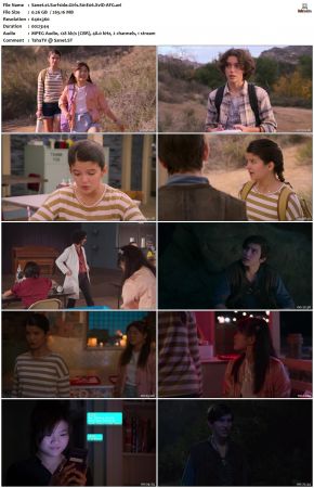 Surfside Girls S01 XviD-AFG