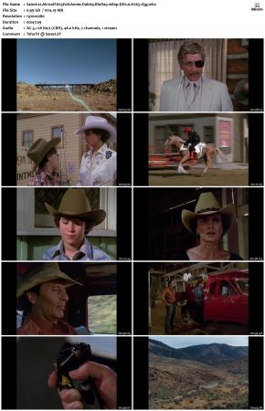 Airwolf S03 1080p BluRay DD2.0 H265-d3g