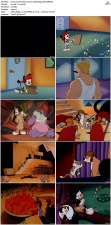 Animaniacs 1993 S01 DVDRip XviD-SAiNTS
