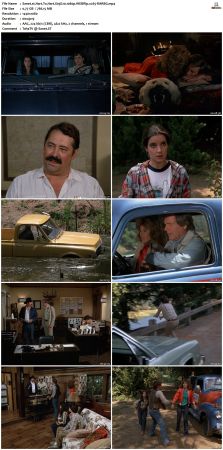 Hart To Hart S03 1080p WEBRip x265-RARBG