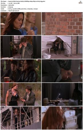 Relic Hunter S03 1080p WEBRip DDP2.0 H265-d3g