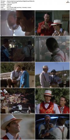 Quantum Leap S04 1080p WEB-DL DD2 0 H264-Mooi