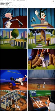 Animaniacs 1993 S01 DVDRip XviD-SAiNTS