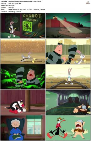 Looney Tunes Cartoons S01 REPACK XviD-AFG