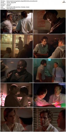 Quantum Leap S05 1080p WEB-DL DD2 0 H264-Mooi
