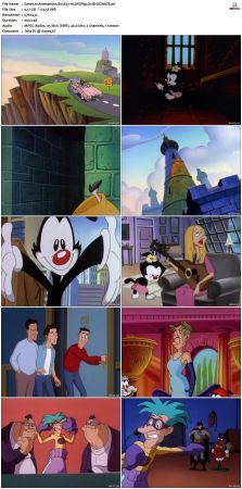 Animaniacs 1993 S05 DVDRip XviD-DEiMOS