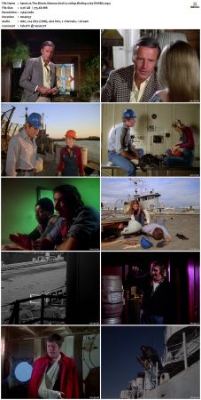 The Bionic Woman S02 1080p BluRay x265-RARBG