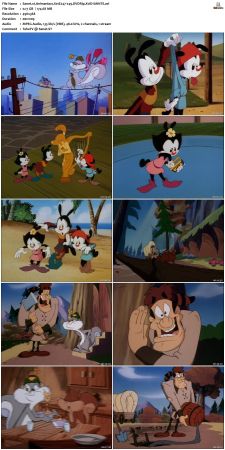 Animaniacs 1993 S01 DVDRip XviD-SAiNTS
