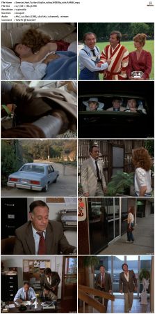 Hart To Hart S03 1080p WEBRip x265-RARBG