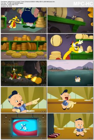 Looney Tunes Cartoons S03 1080p x265-MeGusta