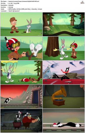 Looney Tunes Cartoons S03 XviD-AFG