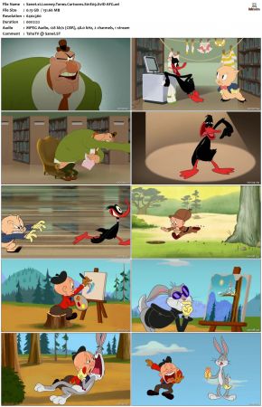 Looney Tunes Cartoons S01 REPACK XviD-AFG