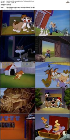 Animaniacs 1993 S01 DVDRip XviD-SAiNTS