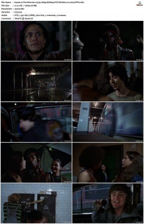 The Warriors 1979 1080p BluRay DTS-HD MA x264-EFPG