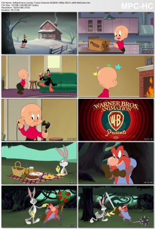 Looney Tunes Cartoons S03 1080p x265-MeGusta