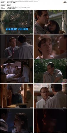 Quantum Leap S05 1080p WEB-DL DD2 0 H264-Mooi
