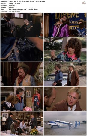 Hart To Hart S03 1080p WEBRip x265-RARBG