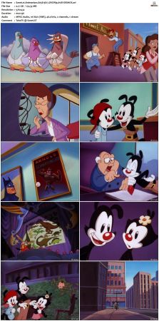 Animaniacs 1993 S05 DVDRip XviD-DEiMOS