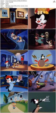 Animaniacs 1993 S03 DVDRip XviD-SAiNTS