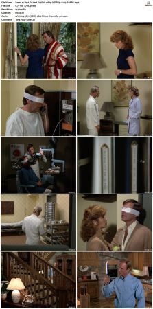 Hart To Hart S03 1080p WEBRip x265-RARBG