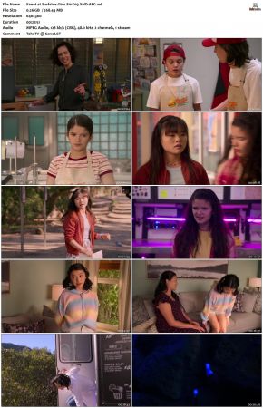 Surfside Girls S01 XviD-AFG