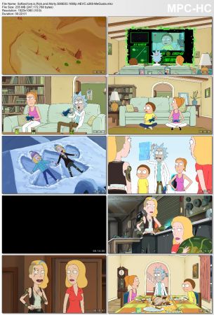 Rick and Morty S06E03 1080p HEVC x265-MeGusta