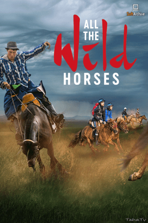 All The Wild Horses 2017 1080p WEB H264-CBFM