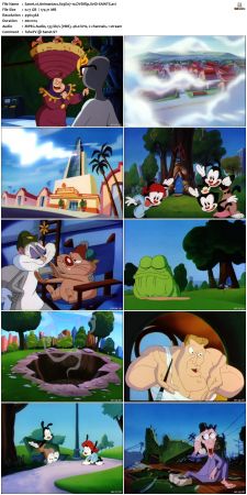 Animaniacs 1993 S03 DVDRip XviD-SAiNTS