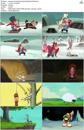 Looney Tunes Cartoons S01 REPACK XviD-AFG