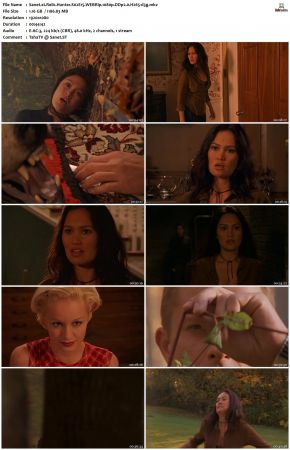 Relic Hunter S02 1080p WEBRip DDP2.0 H265-d3g
