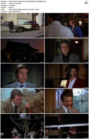 Hart To Hart S01 1080p WEBRip x265-RARBG